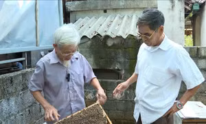 Lão nông 80 tuổi sáng tạo nội dung số nhờ kinh nghiệm chăn nuôi