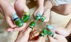 Tục nhuộm lá móng - một nét đẹp văn hóa dịp Tết Đoan Ngọ