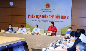 Thẩm tra dự thảo Báo cáo của Chính phủ về công tác phòng, chống dịch