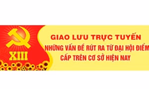 Những vấn đề rút ra từ đại hội điểm cấp trên cơ sở