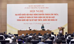 Đảm bảo tính thống nhất, khả thi của dự thảo Luật Di sản văn hóa (sửa đổi)