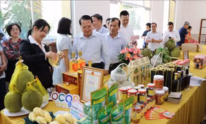Kết nối thị trường, phát huy sản phẩm đạt OCOP cấp tỉnh