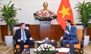 Thúc đẩy quan hệ hợp tác giữa Việt Nam và Tổ chức quốc tế Pháp ngữ