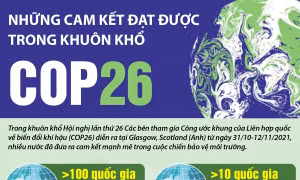 Những cam kết đạt được trong khuôn khổ COP26