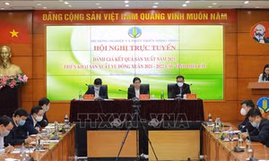 Các tỉnh phía Bắc phòng chống rét, thiếu nước trong vụ Đông Xuân 2021-2022