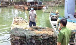 Phát hiện nhiều phương tiện khai thác thủy sản trái phép trên lòng hồ Trị An