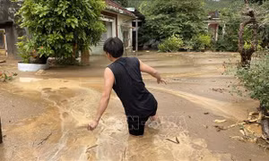 Bình Định: Núi Cấm tiếp tục sạt lở, nhà dân ngập trong bùn đất