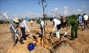  Phát động trồng cây xanh tại Tam Kỳ, Quảng Nam