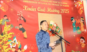 Rộn ràng không gian Tết Việt tại Algeria 