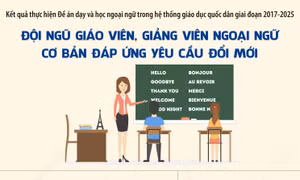 Đội ngũ giáo viên, giảng viên ngoại ngữ cơ bản đáp ứng yêu cầu đổi mới