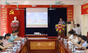 Triển khai quy định về an toàn thực phẩm và kiểm dịch vật trong Hiệp định CPTPP và EVFTA