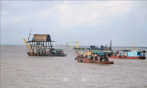 Hải Phòng: Tổ chức cưỡng chế 12 hộ dân nuôi ngao tại quận Hải An 
