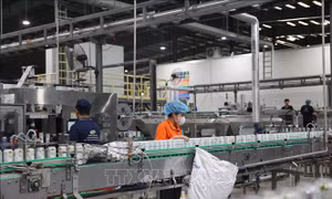 Kỳ vọng tăng trưởng kinh tế 2 con số từ các dự án mới đi vào hoạt động