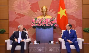 Thúc đẩy quan hệ Đối tác chiến lược Việt Nam - Singapore ngày càng thiết thực, hiệu quả