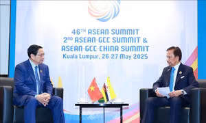 Hội nghị Cấp cao ASEAN: Thủ tướng Phạm Minh Chính gặp Quốc vương Brunei