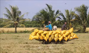 Giải pháp ưu tiên nâng cao hiệu quả thích ứng với biến đổi khí hậu