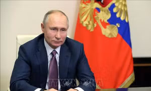 Tổng thống Nga Vladimir Putin gửi lời chúc Năm mới và Tết cổ truyền của Việt Nam