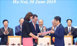 Hiệp định EVFTA: Khẳng định xu thế tự do hóa thương mại