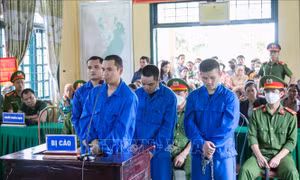 Tuyên án tử hình 3 đối tượng vận chuyển hơn 6 kg ma túy