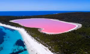 Dự án khôi phục màu hồng của Hồ Pink Lake ở Australia