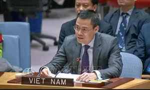 Việt Nam thúc đẩy Nghị quyết đề nghị Toà án Công lý Quốc tế cho ý kiến tư vấn về biến đổi khí hậu