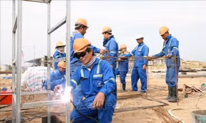 Thi công xuyên Tết tại dự án cao tốc Chí Thạnh - Vân Phong