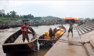 Từ tối 13/9, bão số 5 sẽ ảnh hưởng đến Quảng Ninh