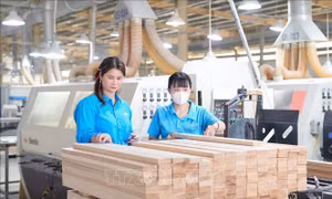 Người kết nối yêu thương, gắn kết người lao động với doanh nghiệp