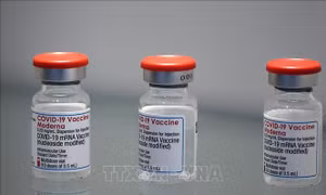 Bỉ loại bỏ gần nửa triệu liều vaccine chống COVID-19 