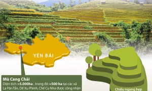 Vẻ đẹp say lòng người của ruộng bậc thang Mù Cang Chải