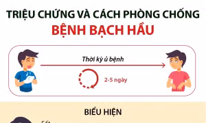 Triệu chứng và cách phòng chống bệnh bạch hầu