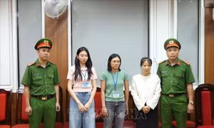 Đại biểu Quốc hội: Người nổi tiếng càng phải sống, làm việc đúng pháp luật và chuẩn mực đạo đức