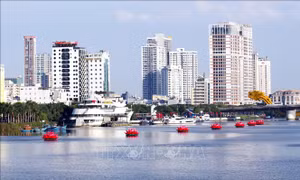 Nhiều hoạt động chào mừng Đại lễ Phật đản 2026