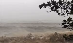 Thời tiết đêm 7/9: Nhiều vùng biển có gió giật cấp 16; biển động dữ dội