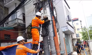 Điện lực miền Bắc triển khai lực lượng xung kích hơn 60 người ứng phó bão số 10