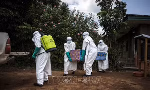 Đợt dịch Ebola mới tại CHDC Congo đã khiến trên 2.000 người chết