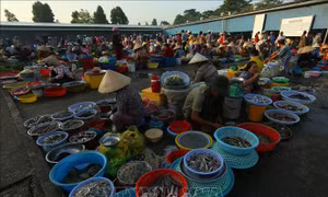 Nét quê ở chợ phường Vị Thanh (Cần Thơ)