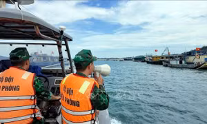 Các địa phương khẩn trương chuẩn bị phương án phòng, chống bão số 11