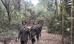 Gắn phòng, chống cháy rừng với bảo vệ cảnh quan các khu di tích ở Hải Dương