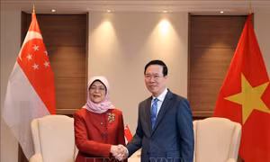 Chủ tịch nước Võ Văn Thưởng tiếp Tổng thống Singapore