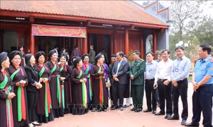 Vùng Lim sẵn sàng vào hội