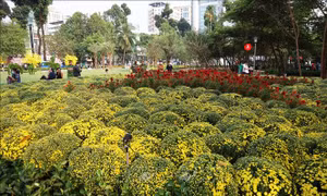TP Hồ Chí Minh đưa công viên Võ Văn Tần vào phục vụ người dân