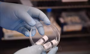 Chính phủ Anh tài trợ thử nghiệm vaccine ngừa virus SARS-CoV-2 trên người