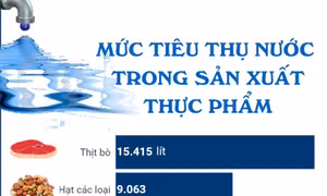 Mức tiêu thụ nước trong sản xuất thực phẩm