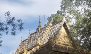 Khám phá chùa Dơi - điểm đến du lịch nổi tiếng ở Sóc Trăng