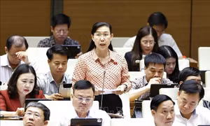 Cần tránh quy định quá chi tiết về thí điểm luật sư công