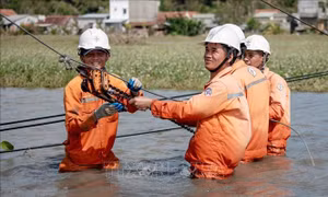Điện lực miền Trung khôi phục gần 100% điện sau bão số 13