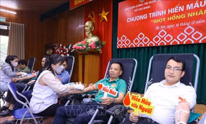 Học viện Chính trị Quốc gia Hồ Chí Minh tổ chức hiến máu tình nguyện 