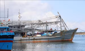 Nhiều tàu ‘67’ ở Phú Yên thua lỗ, bị kê biên