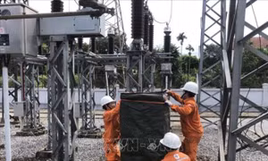 Ngành điện kích hoạt ứng phó khẩn cấp bão số 5